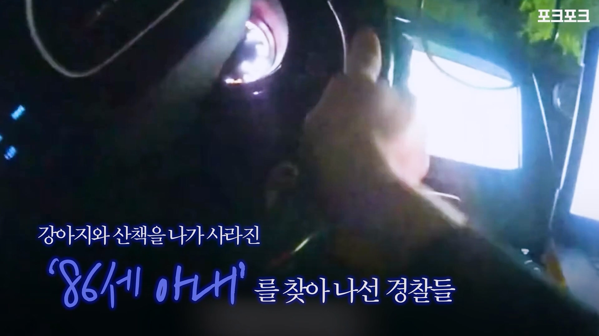 A_포크포크_산책 중 실종된 할머니를 구해준 강아지